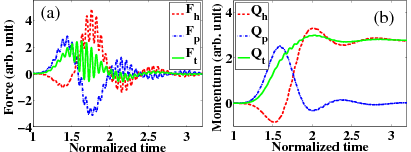 Optical force in time domain