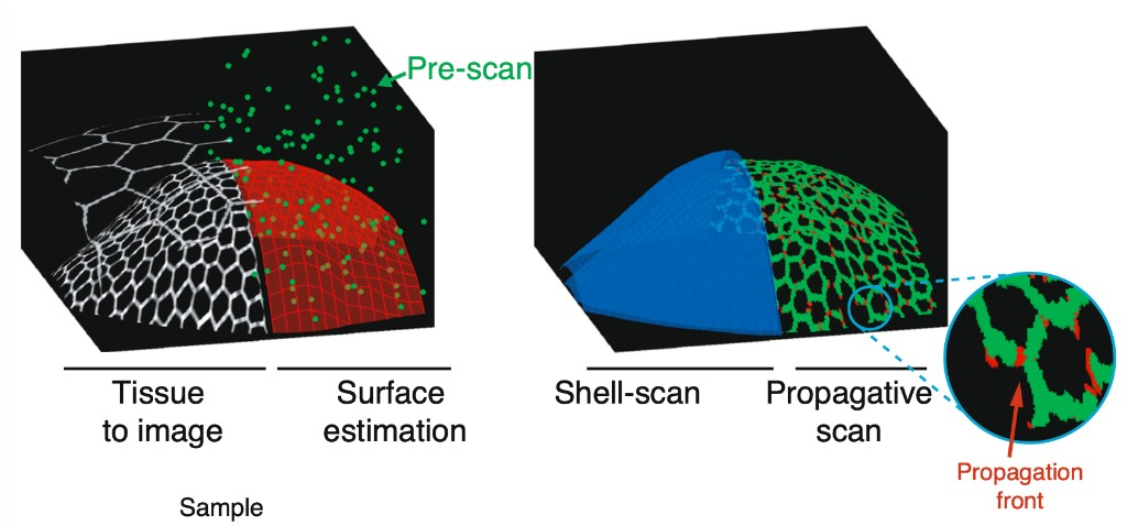 Adaptive microscope: pre-scan surface estimation, shell-scan and propagative scan