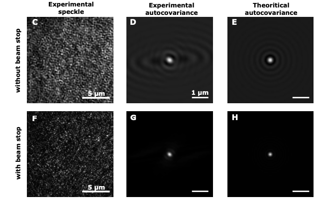 Experimental and theoretical speckle and autocovariance with and without beam stop