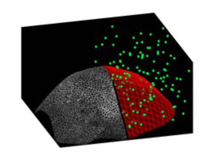 Smart microscopy