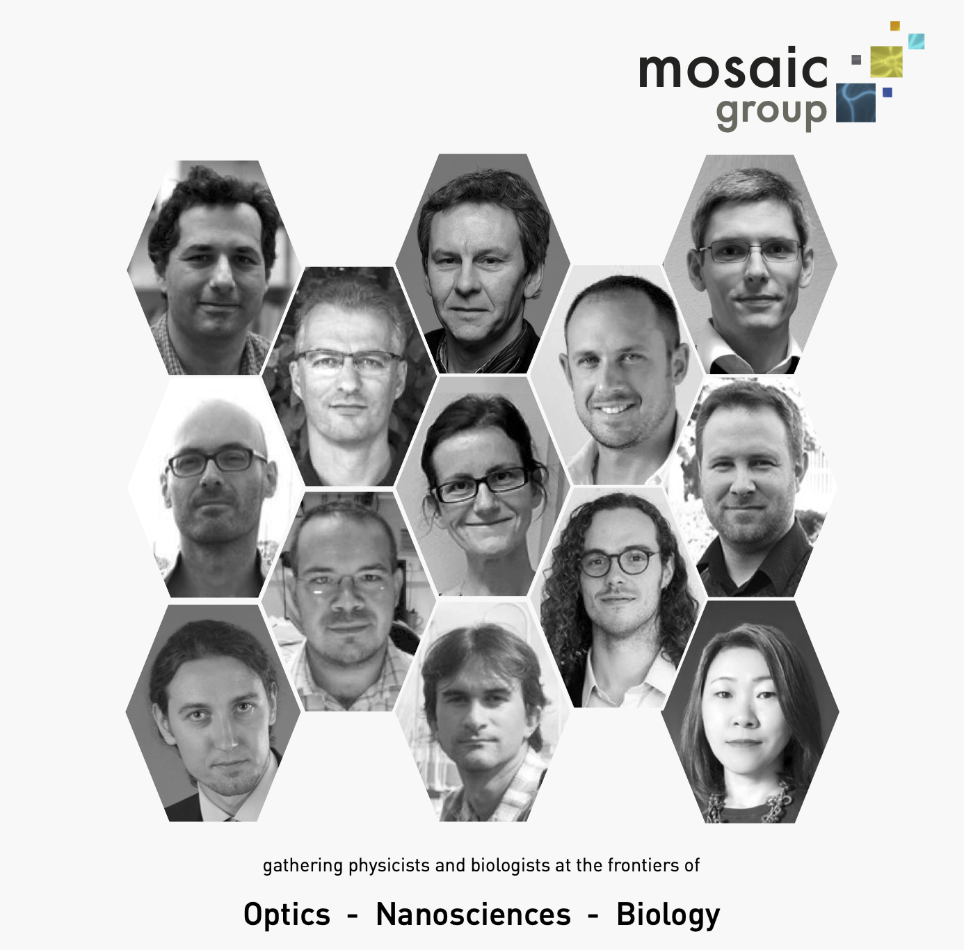 Mosaic Team - Fresnel